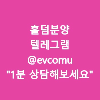 홀덤분양