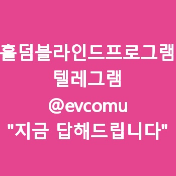 홀덤블라인드프로그램