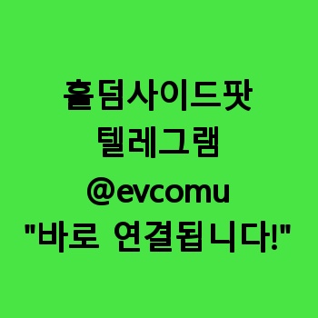 홀덤사이드팟