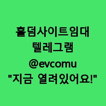 홀덤사이트임대