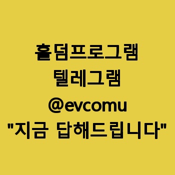 홀덤프로그램
