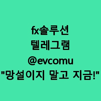 fx솔루션제작 【텔레그램:@evcomu】 게임 개발 추천