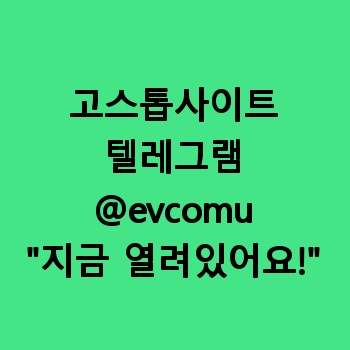 고스톱사이트제작 【텔레그램:@evcomu】 고스톱소스 정보