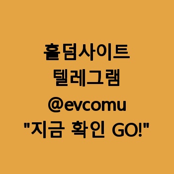 홀덤사이트임대 【텔:@evcomu】 홀덤사이트제작 정보